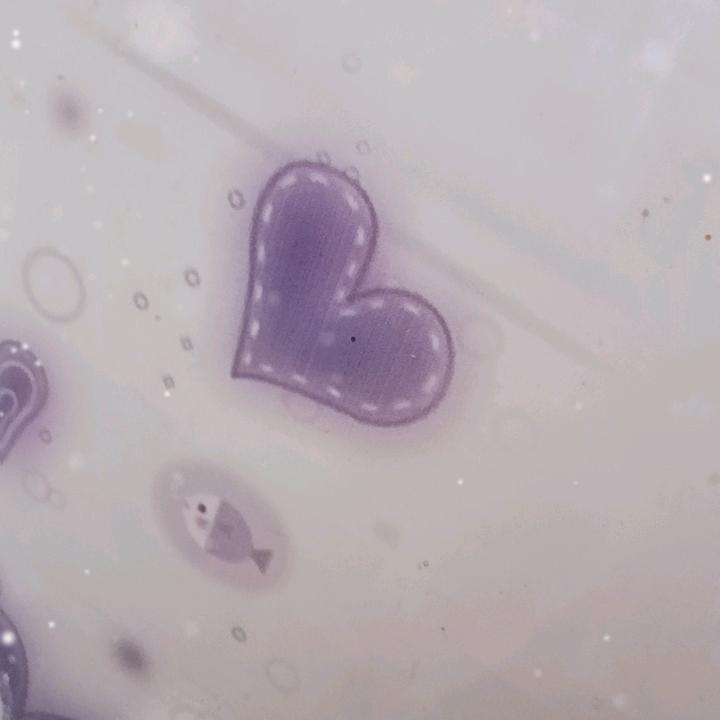 心墙无双