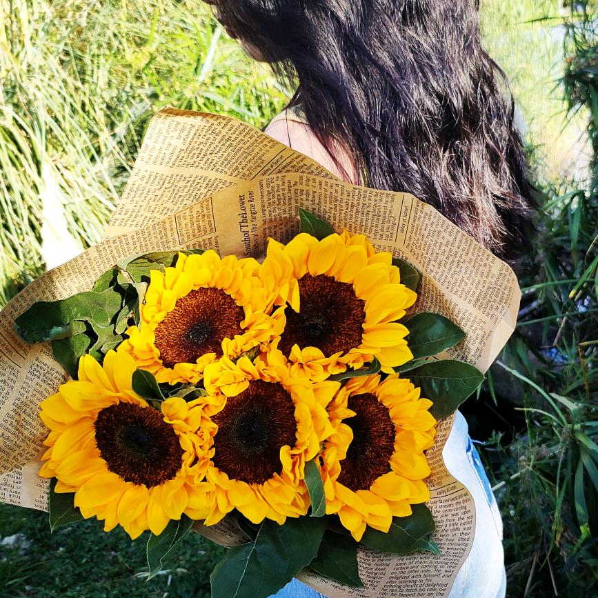 起什么名字好呢