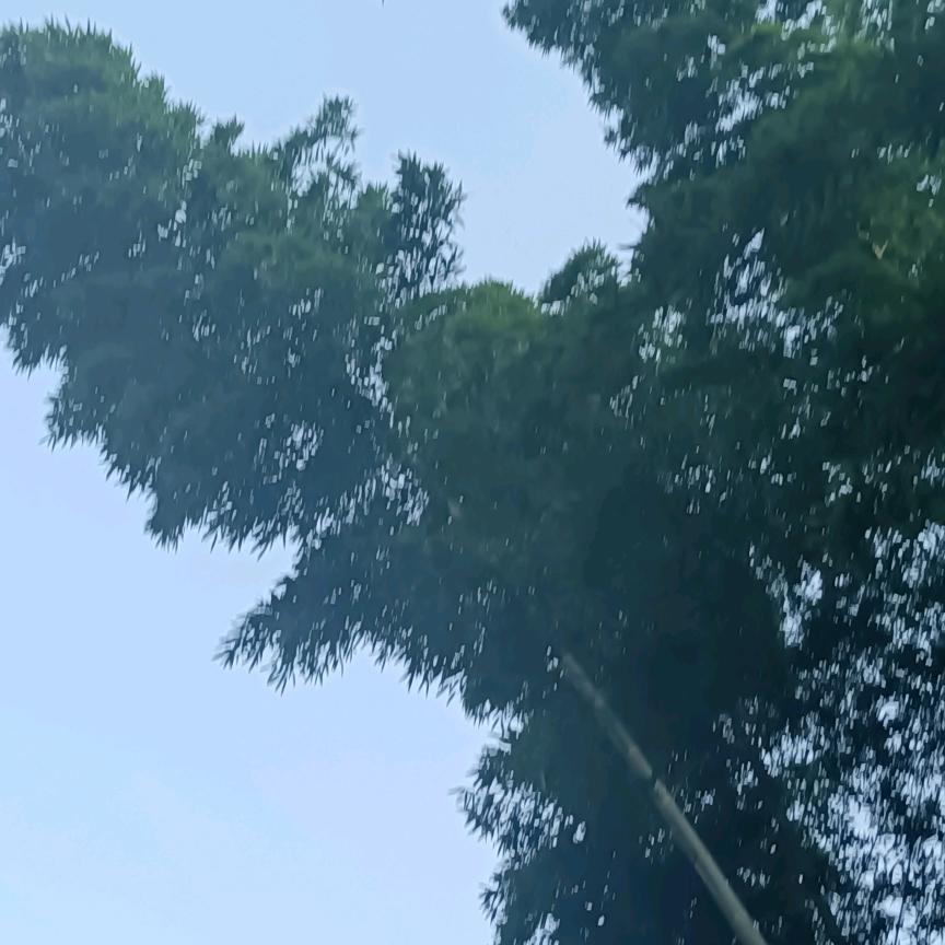 涂涂