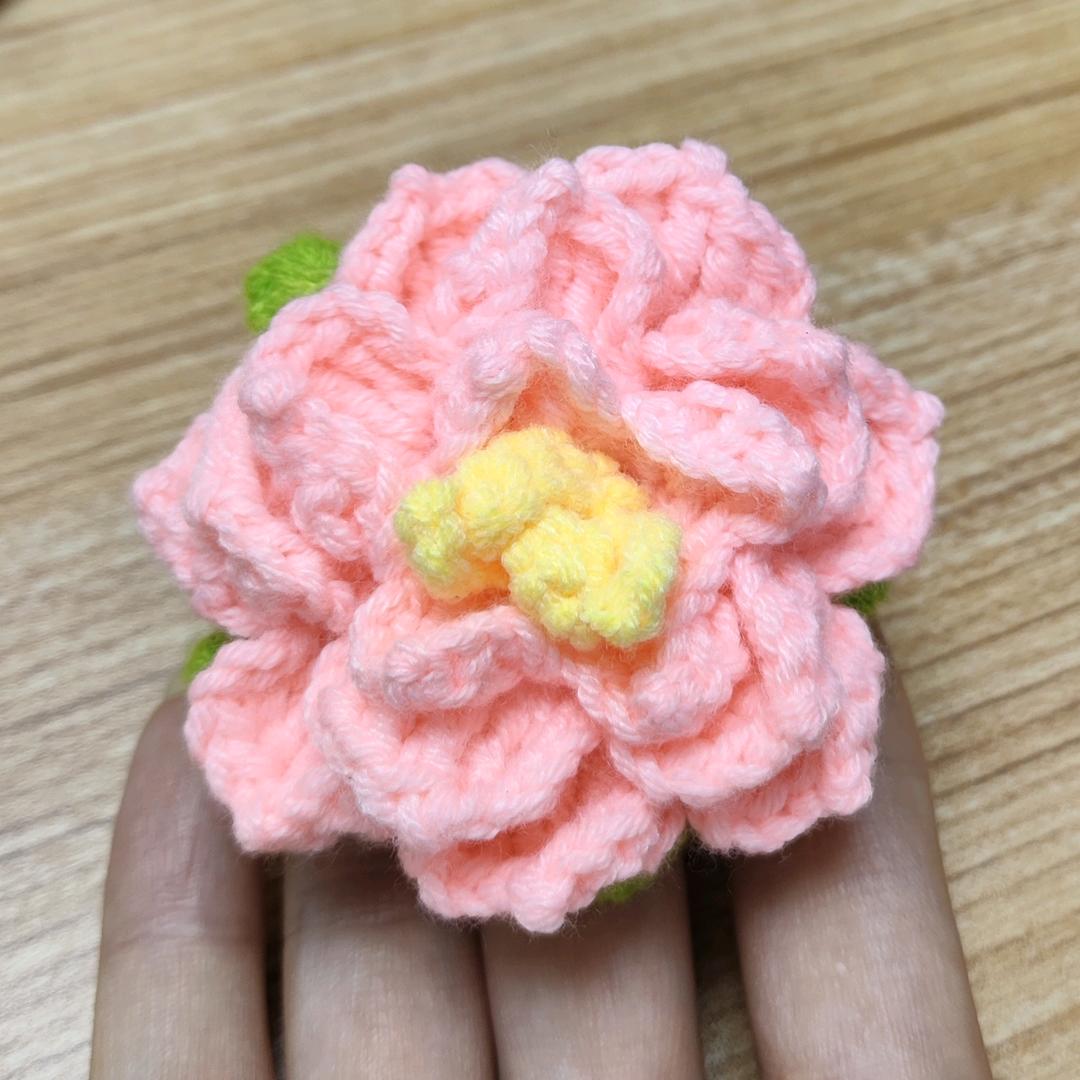 喜欢玩儿毛线的叶子