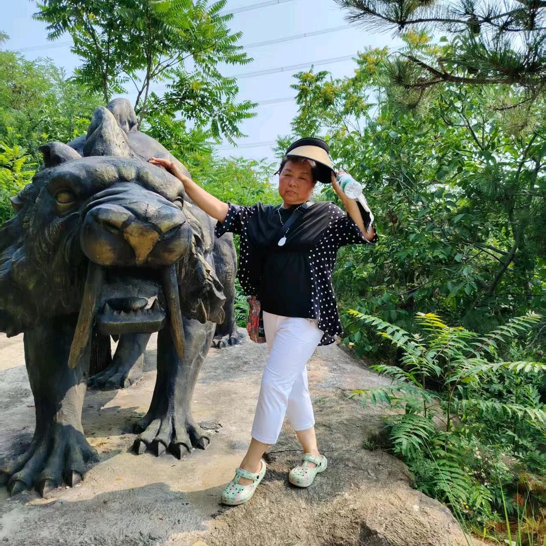 七零后的兔兔