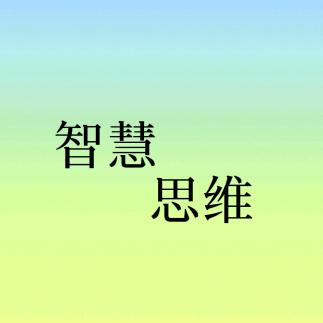 智慧思维