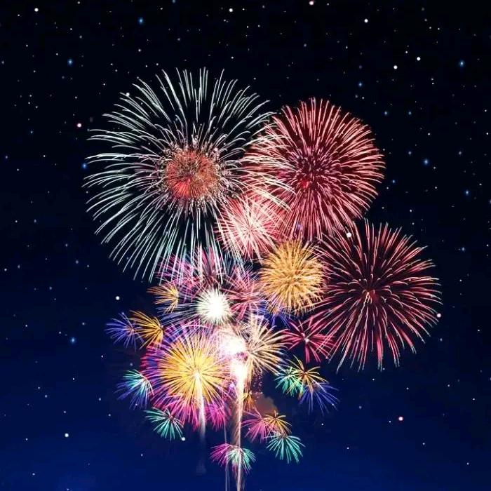 向阳而生！！！