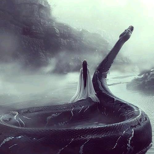 🐉慈善堂小号2