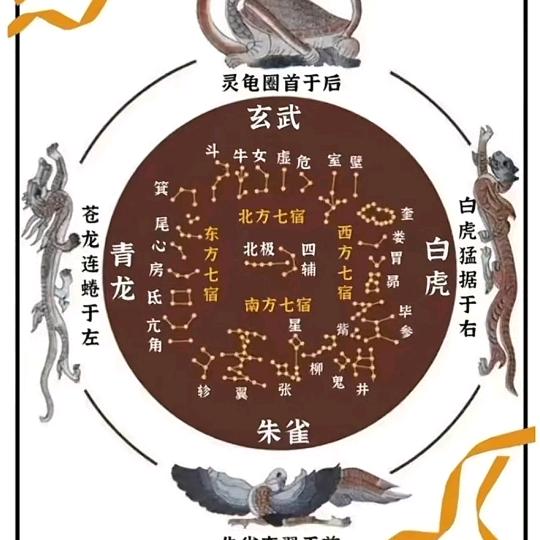 贵州乡村哥大号