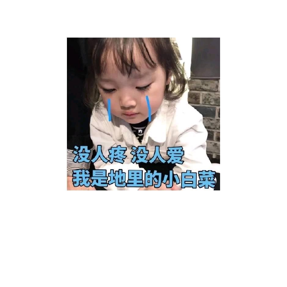 不见君