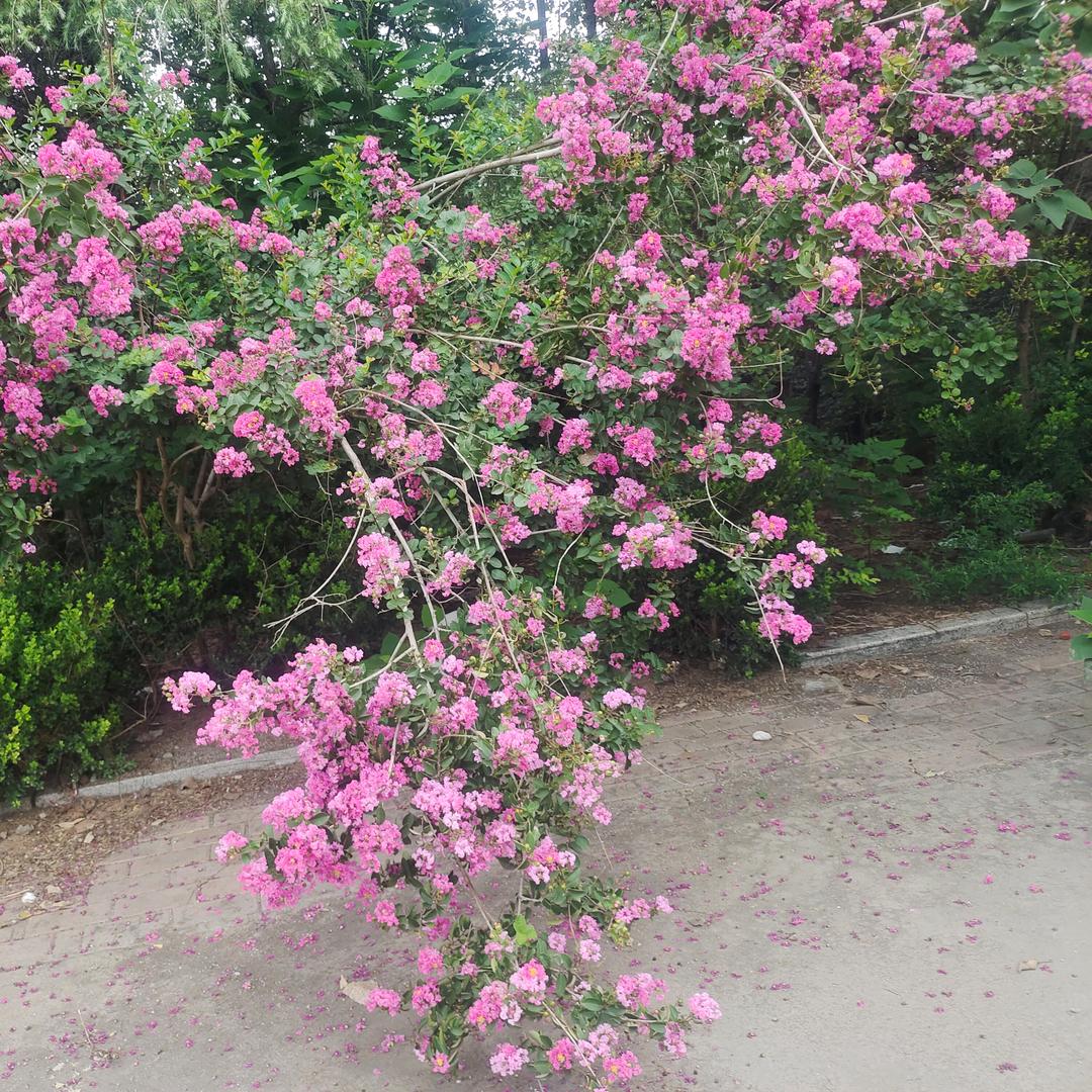 人生何处不相逢