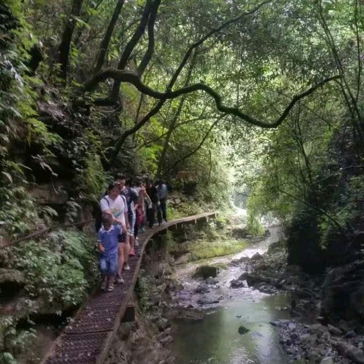 联帮二手车信息部