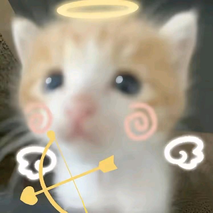 天外飞仙