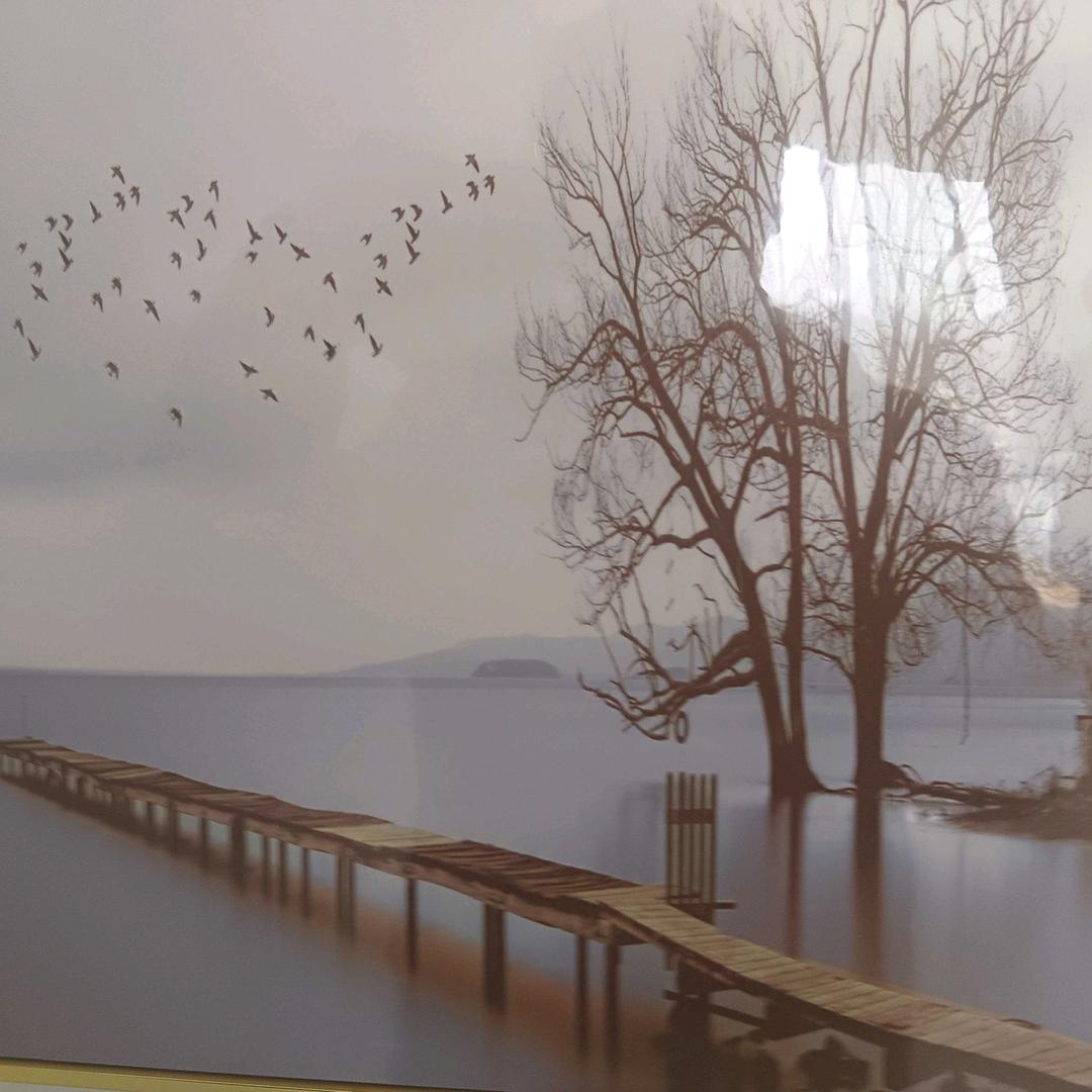 风之伴侣（一）