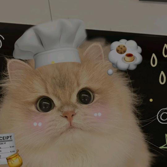 叶子（见过赵雷版）.𝓖·