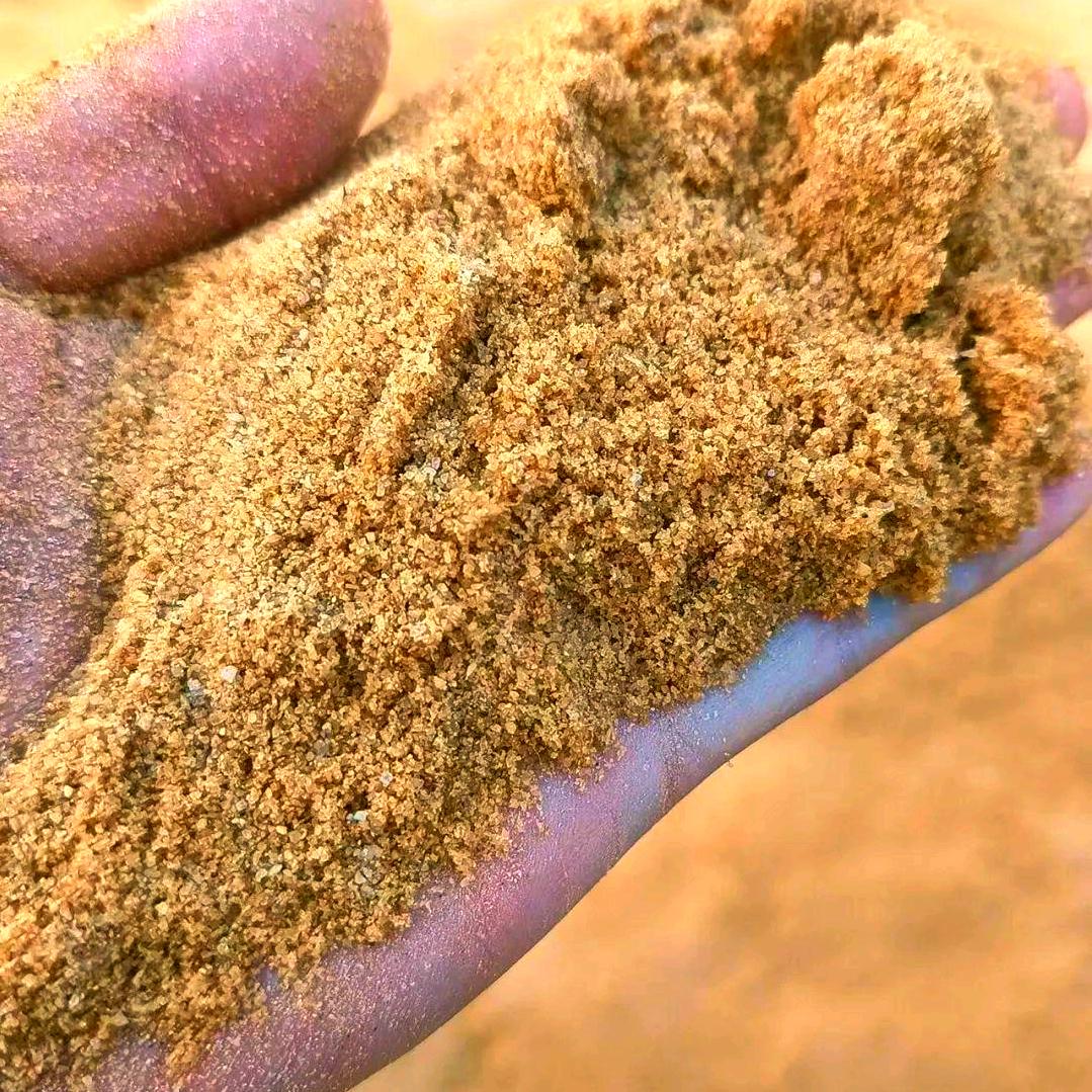 强哥从小就不吃芫荽