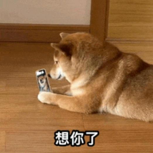 看热闹不嫌事大