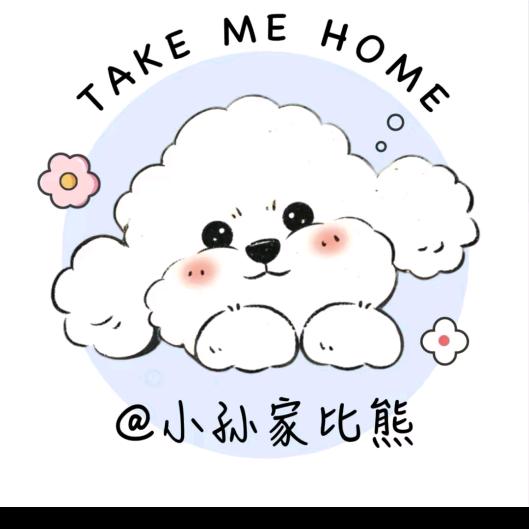 五爱比熊之家-小孙