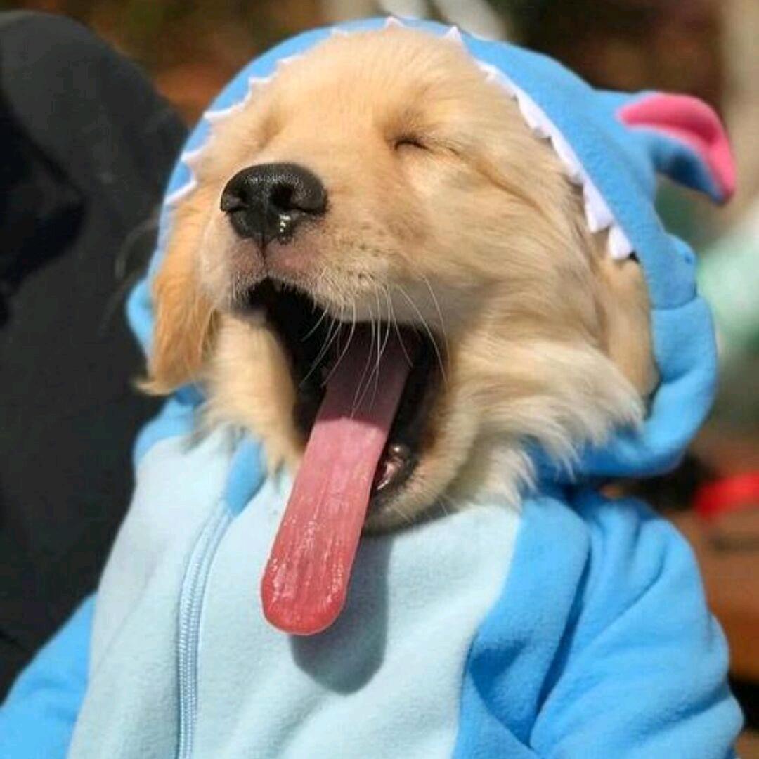 1ㅤㅤㅤㅤㅤㅤㅤㅤㅤ