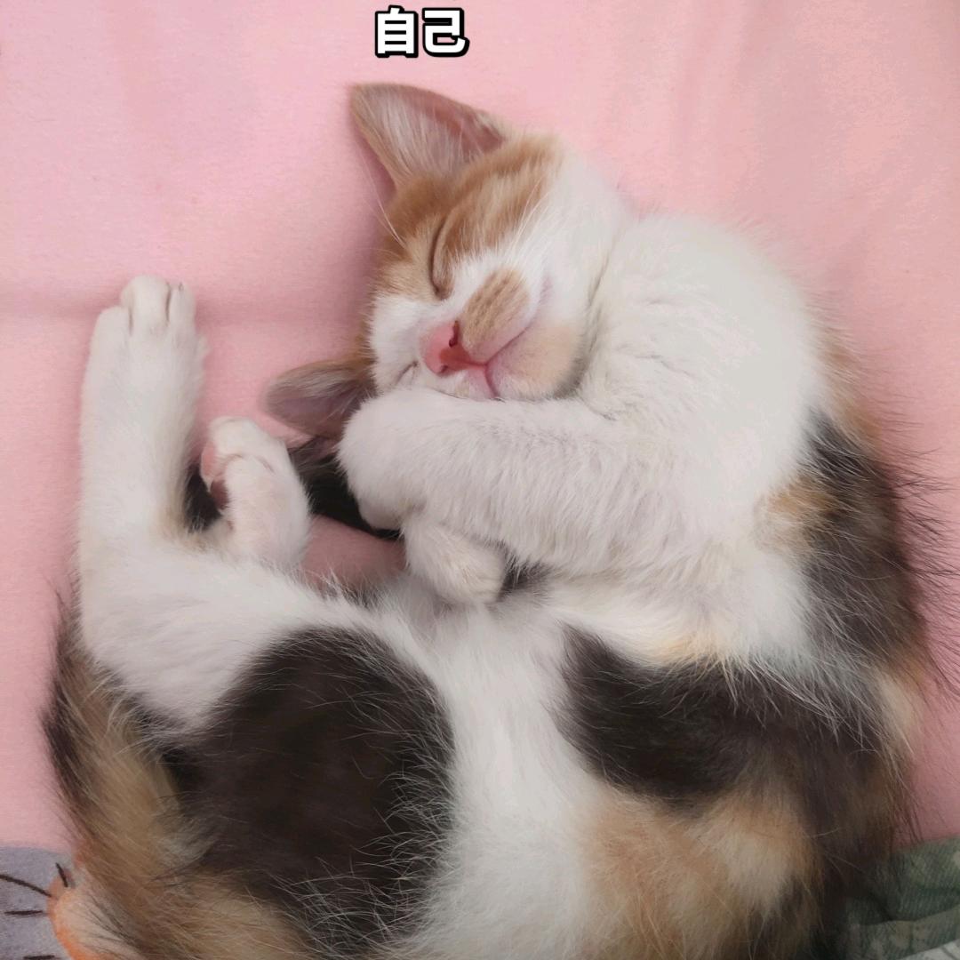 乾县大市场亚会香辣条店