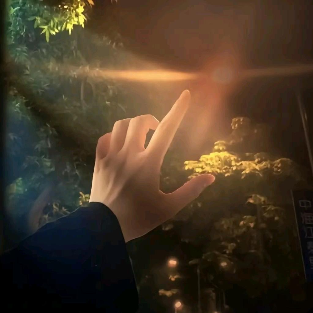 林TT