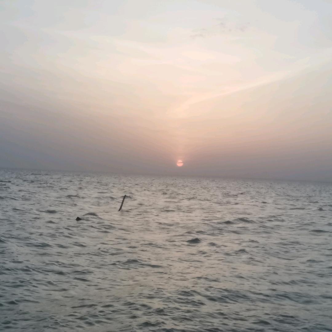 福福