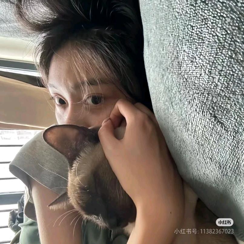 年糕不糕冷y🍮