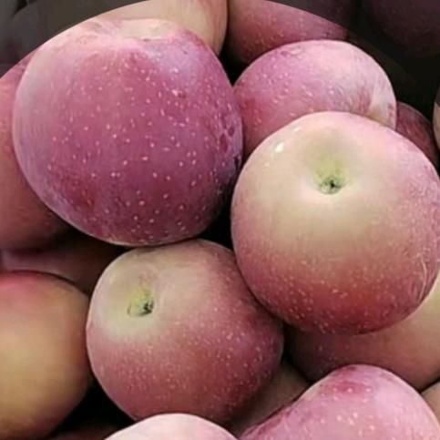 快乐伍哥(🎤🎸