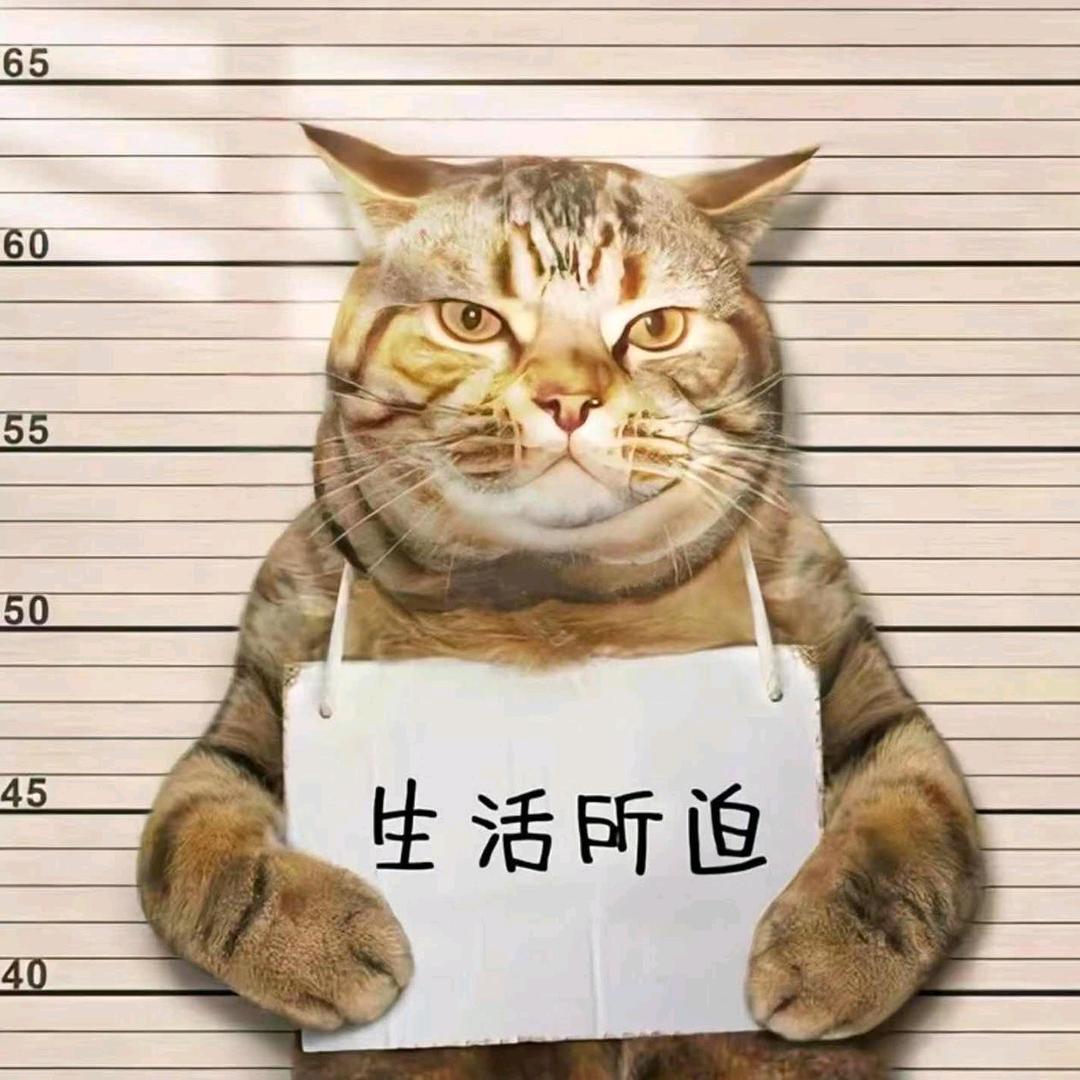 红尘很搞笑