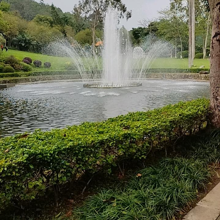 听蚕粉丝
