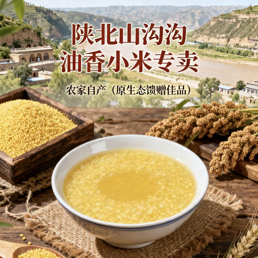 秦北小米哥