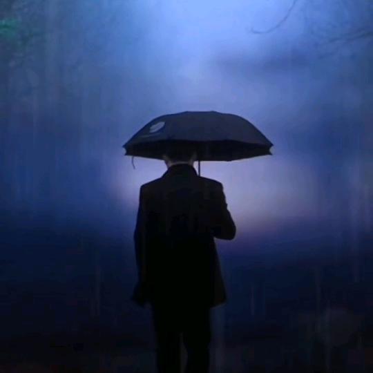 你像花儿一样很美