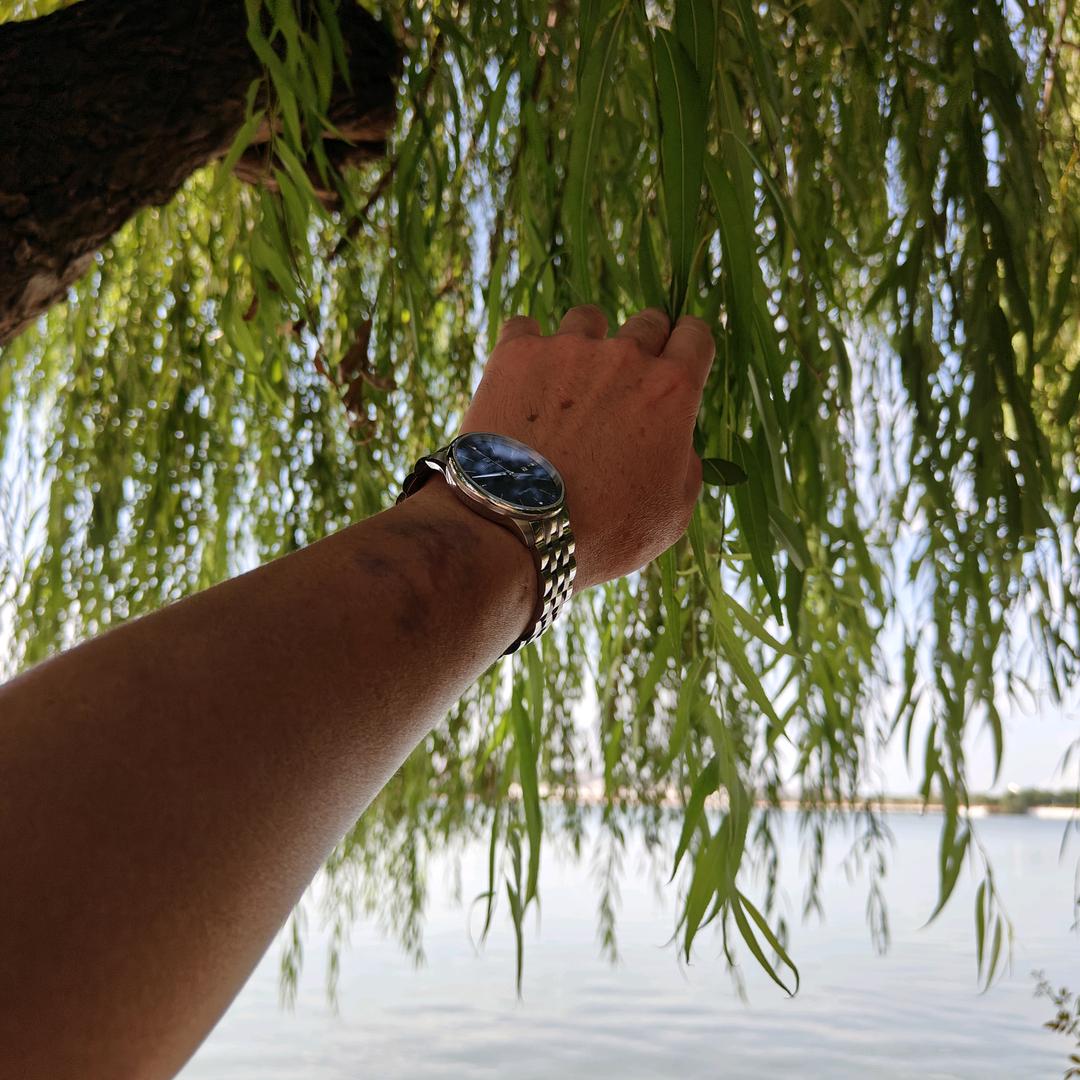 宝日房产韩朝辉