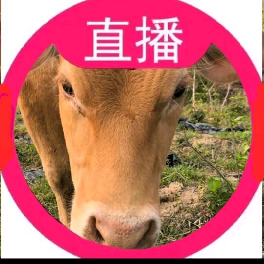 时来运转