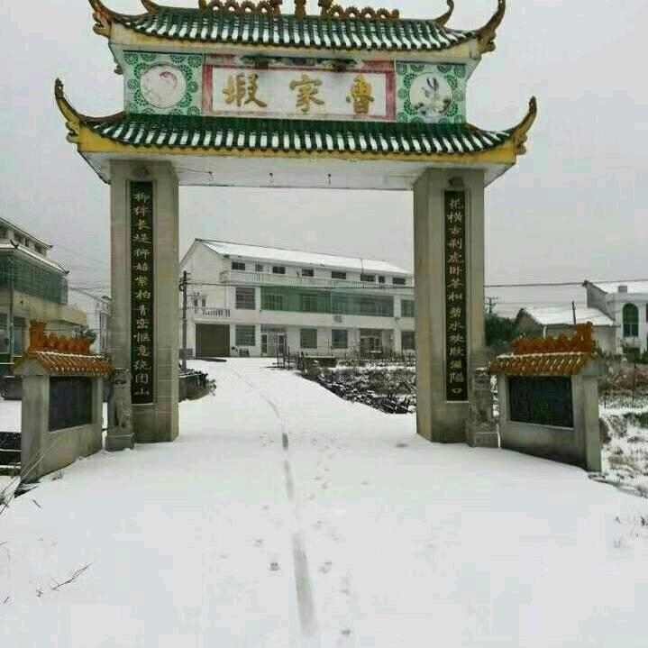 L向阳而生
