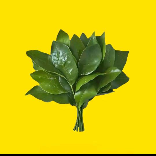博然