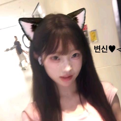 酷兔酷兔
