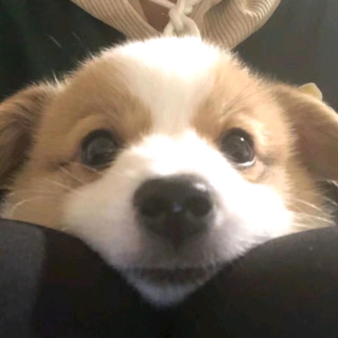 .初心