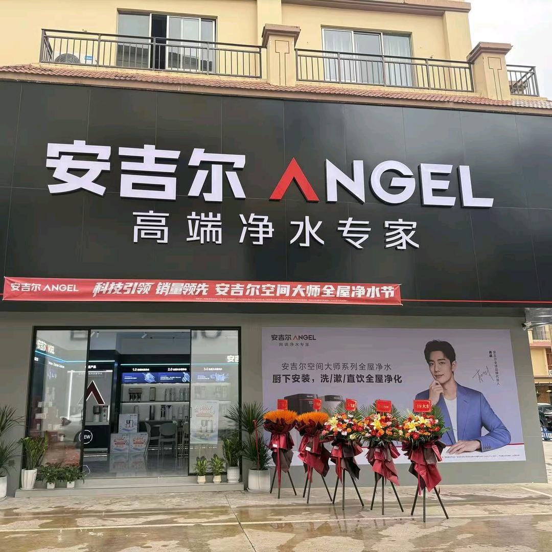 安吉尔高端净水器-景洪俊都