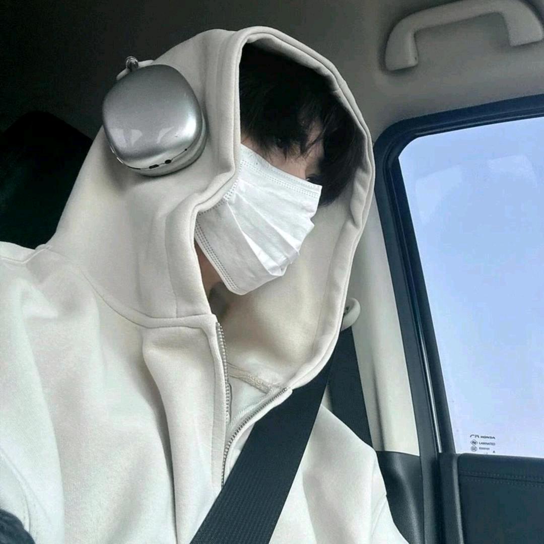 呆瓜不会飞