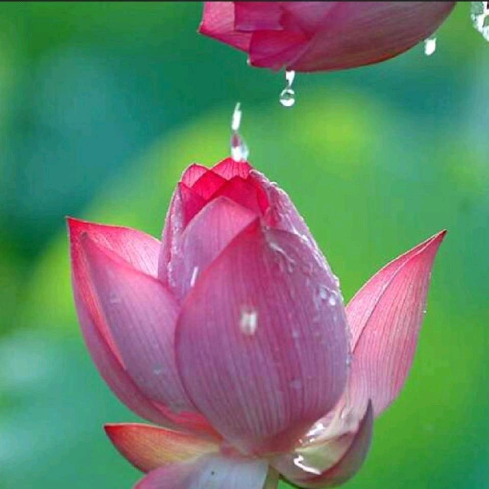 贝壳康美房产经纪人娜娜