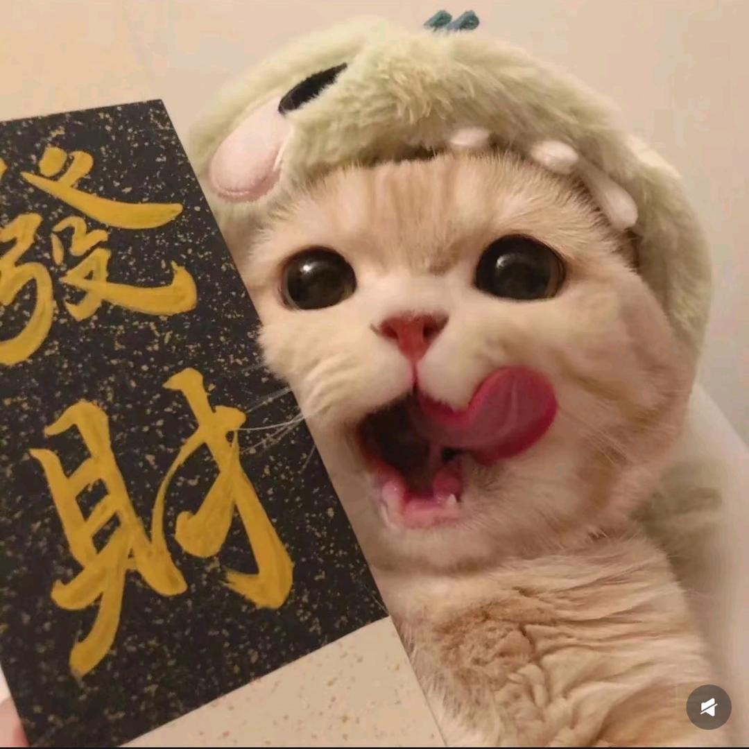 无所魏百货