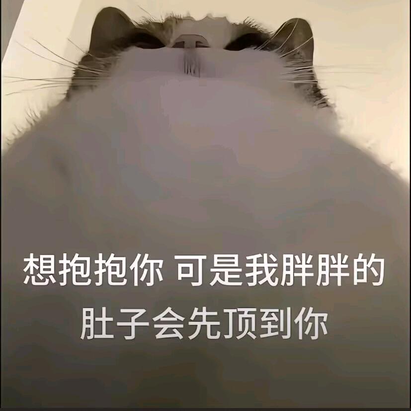 不要委屈自己