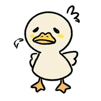 丑小鸭