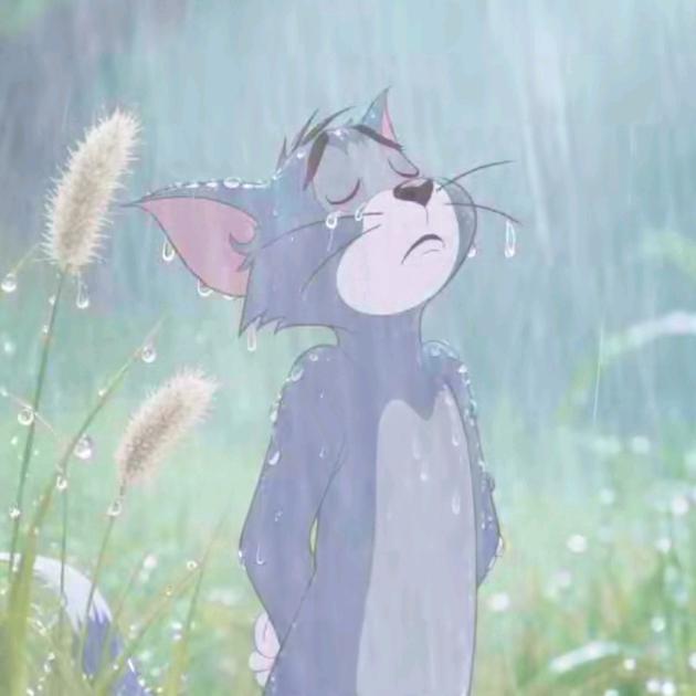 张