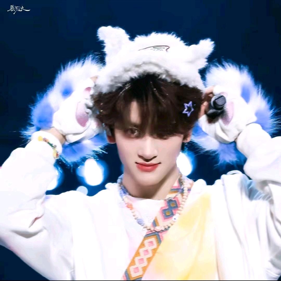 夹心饼干爱学习