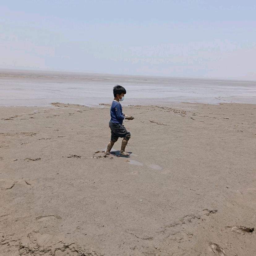 落叶