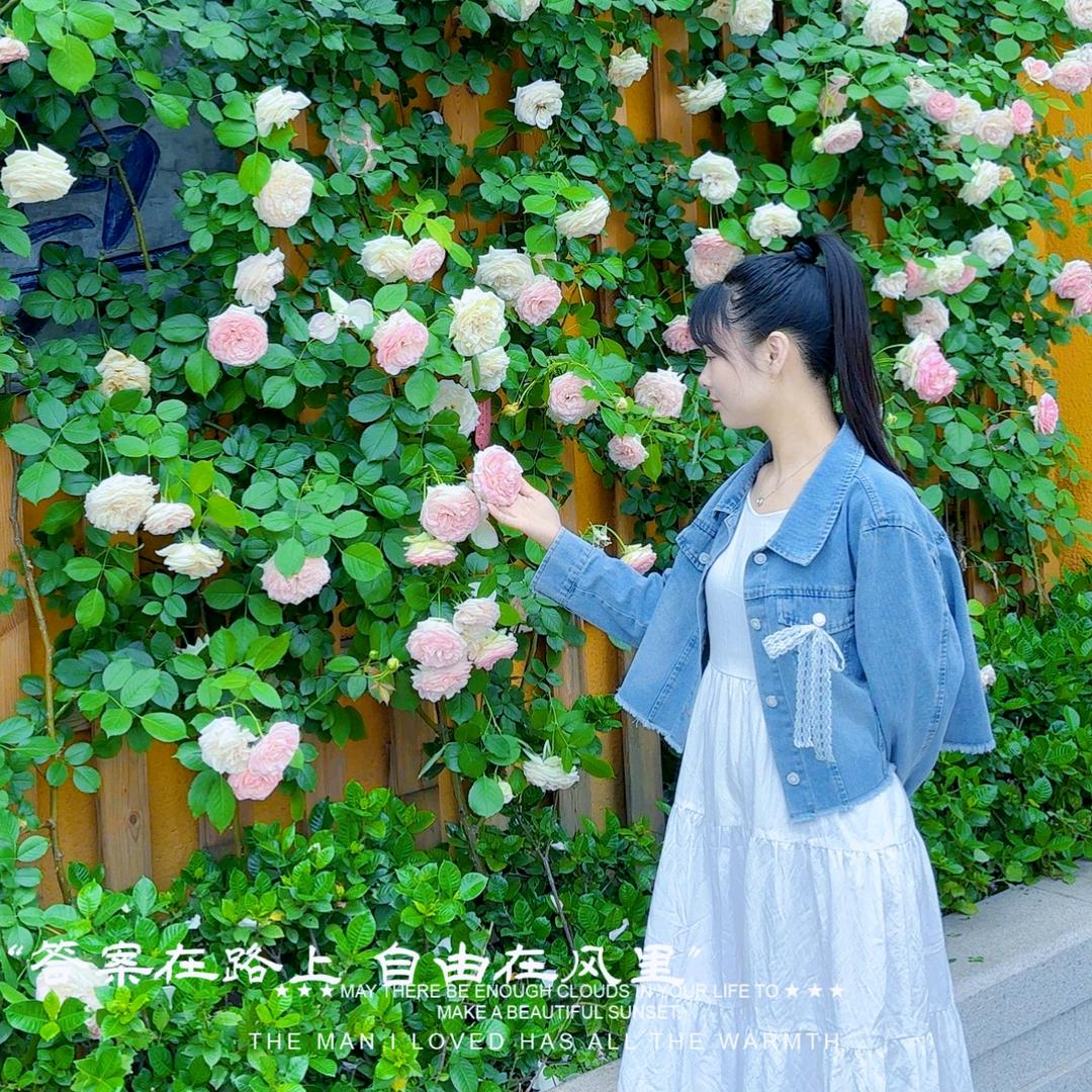 💞 十一妹（好物分享）