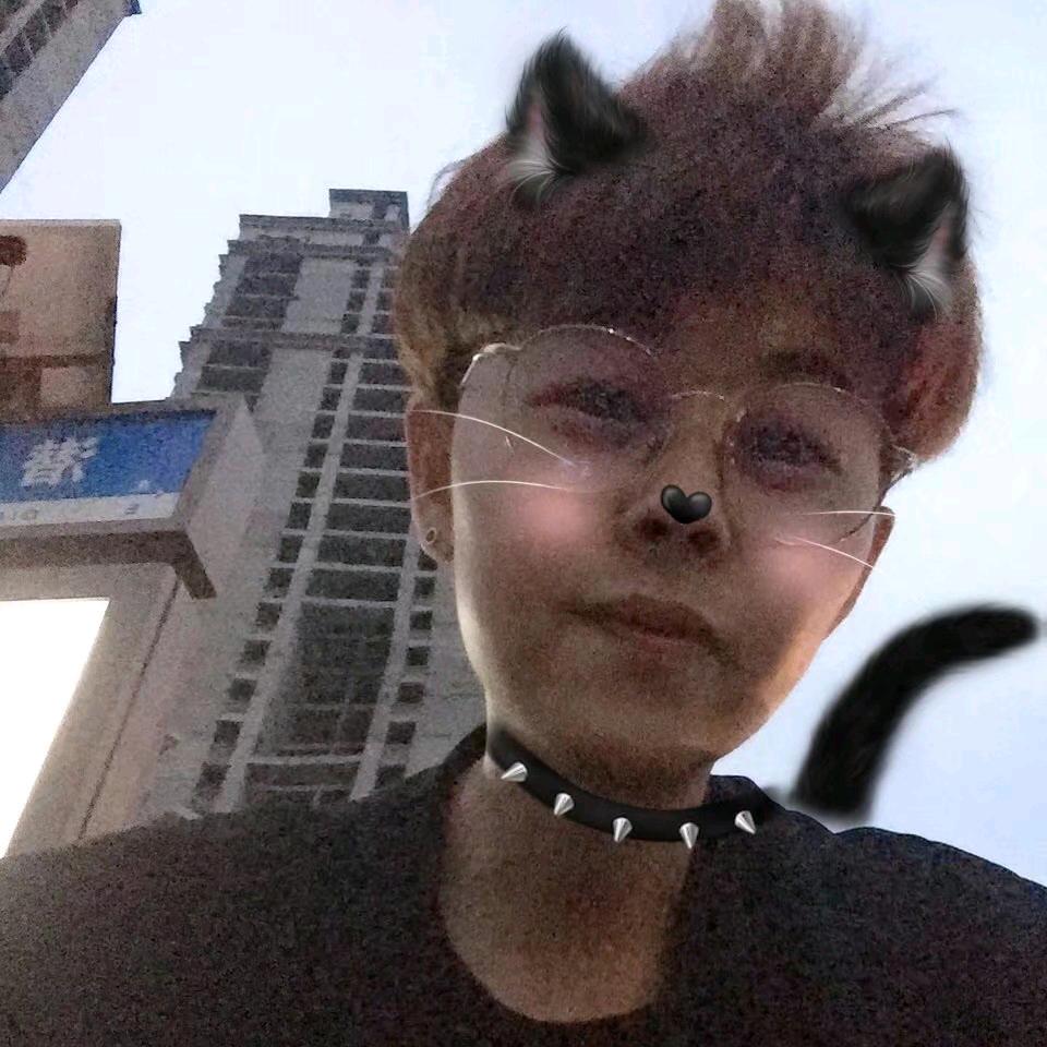 宠喵阁