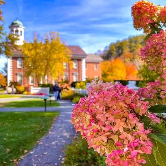 珍珠与玫瑰的相遇