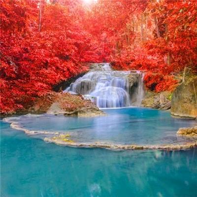 花漫九州