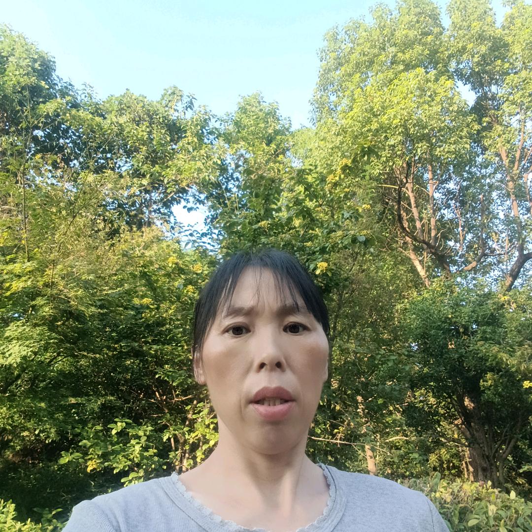 董姐