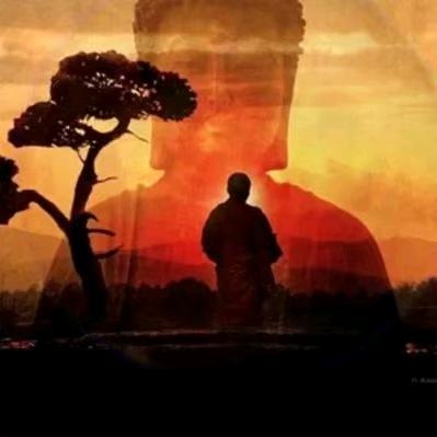 善缘居士z