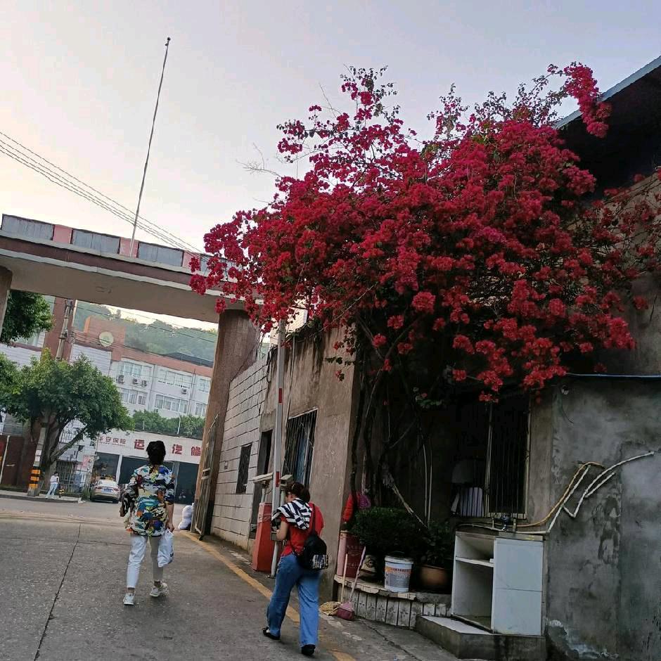 开心有你🎤🎤